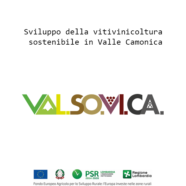 Logo del progetto Val.So.Vi.Ca. - Sviluppo della vitivinicoltura sostenibile in Valle Camonica